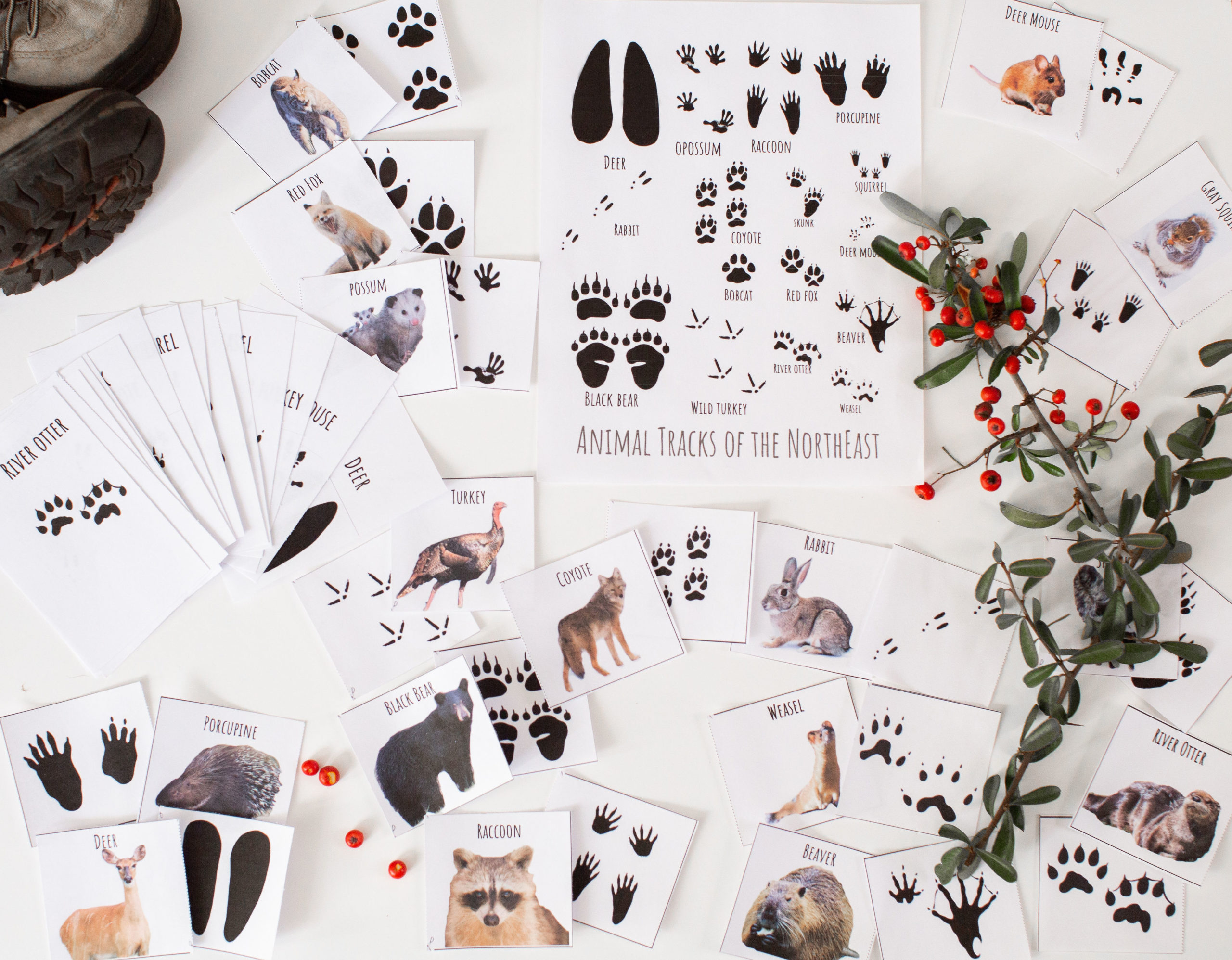 Animal Tracks Bundle - DIGITAL DOWNLOAD