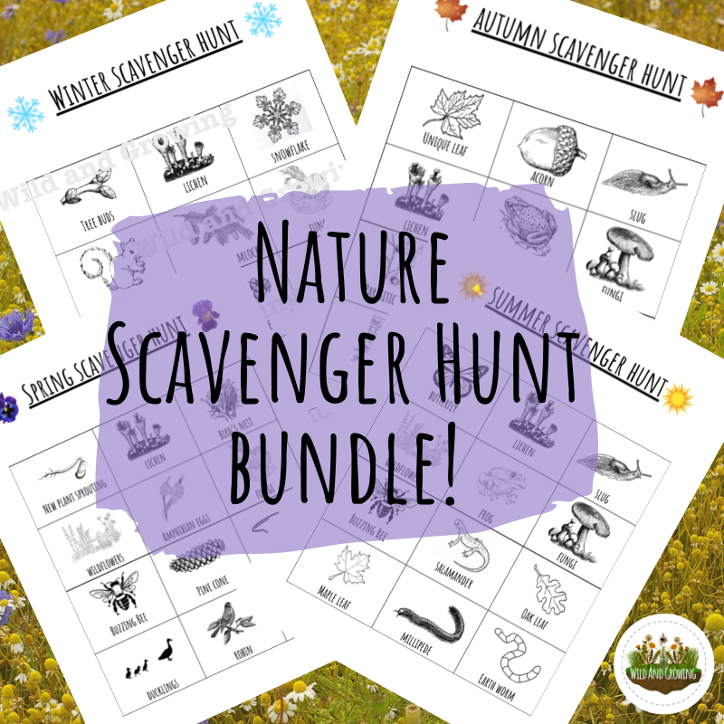 Seasonal Scavenger Hunt Bundle - DIGITAL DOWNLOAD