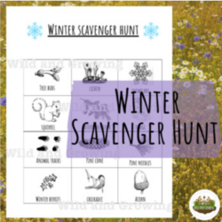 Winter Scavenger Hunt